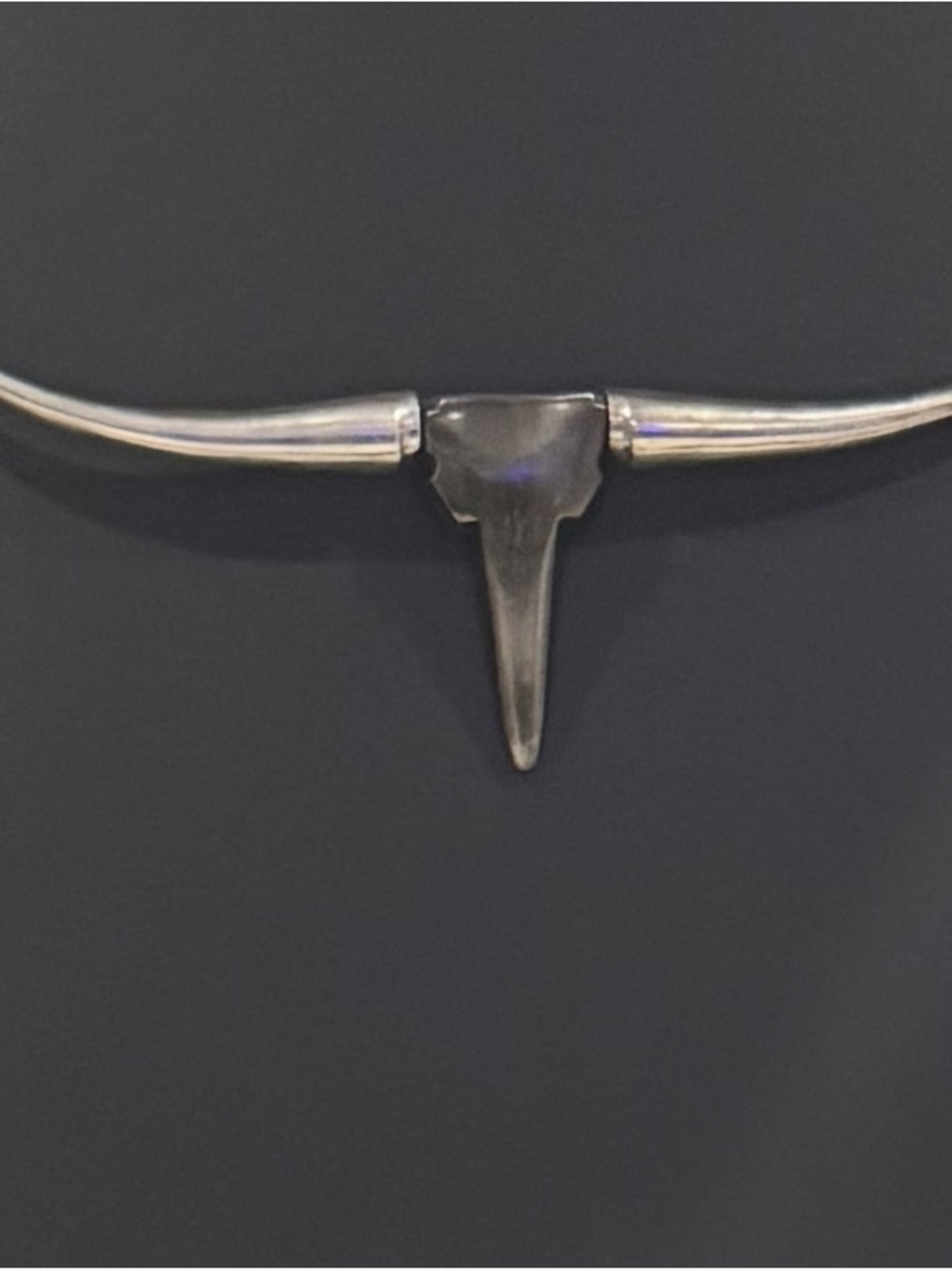 Silver Longhorn Metal Art